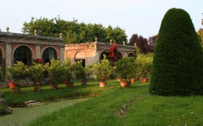 CA’ DOLFIN MARCHIORI “Colori d’autunno”