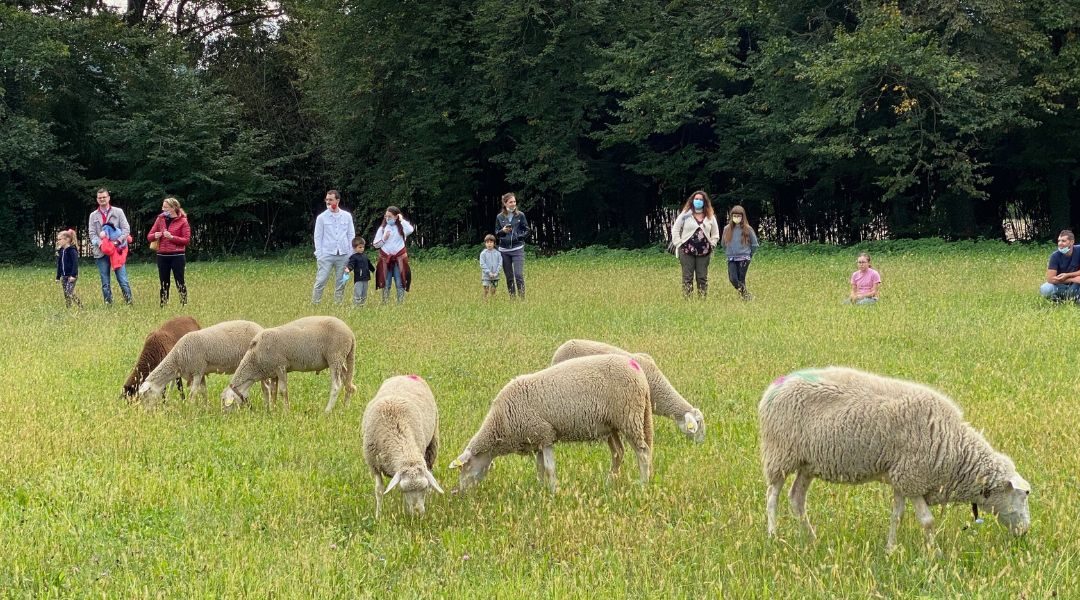 PARCO FRASSANELLE “The transhumance and treasure hunt in the park”