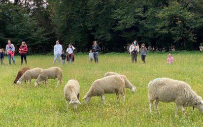 PARCO FRASSANELLE “The transhumance and treasure hunt in the park”
