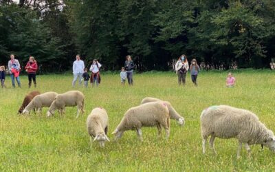 PARCO FRASSANELLE “La Transumanza, il ritorno