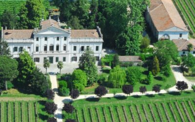 VILLA DOLFIN LA MINCANA “degustazione”