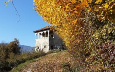 VILLA VILLALTA “Lo spettacolo dei colori d’autunno”