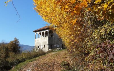 VILLA VILLALTA “A 16th-century loggia surrounded by nature”