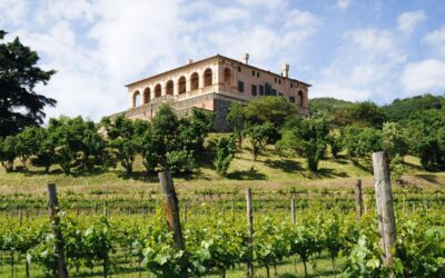 VILLA DEI VESCOVI “tra storia e vigneti”