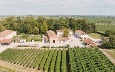 VILLA RECHSTEINER  “Caccia al tesoro nel parco”
