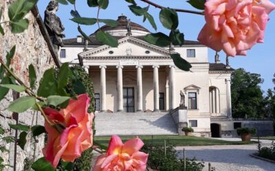 VILLA LA ROTONDA “Visita individuale”