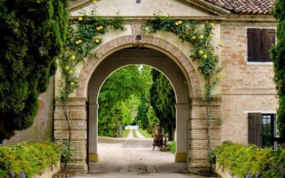 VILLA FIORAVANTI ONESTI “Wine Experience”