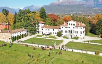 VILLA GALLICI DECIANI “Time dive”