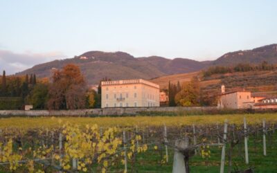 VILLA RIZZARDI GIARDINO DI POJEGA “Un sorso di natura”