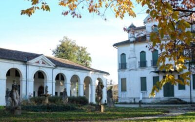 VILLA WIDMANN REZZONICO FOSCARI “Yoga al Parco di Villa Widmann”