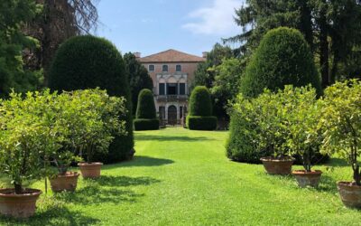 GIARDINO STORICO CA’DOLFIN MARCHIORI “Colori d’autunno”