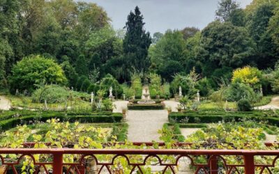 VILLA PISANI BOLOGNESI SCALABRIN “Giardinity Autunno 2023”
