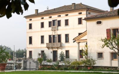 VILLA STECCHINI “Visita e degustazione”